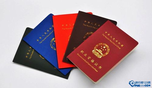 中国十佳含金量证书 中国十佳含金量证书 - BIM,Reivt中文网