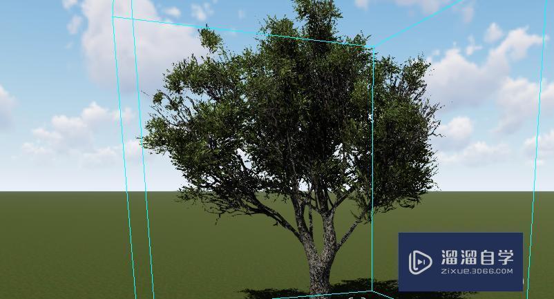 如何在Lumion中调整树木的大小? 如何在Lumion中调整树木的大小? - BIM,Reivt中文网