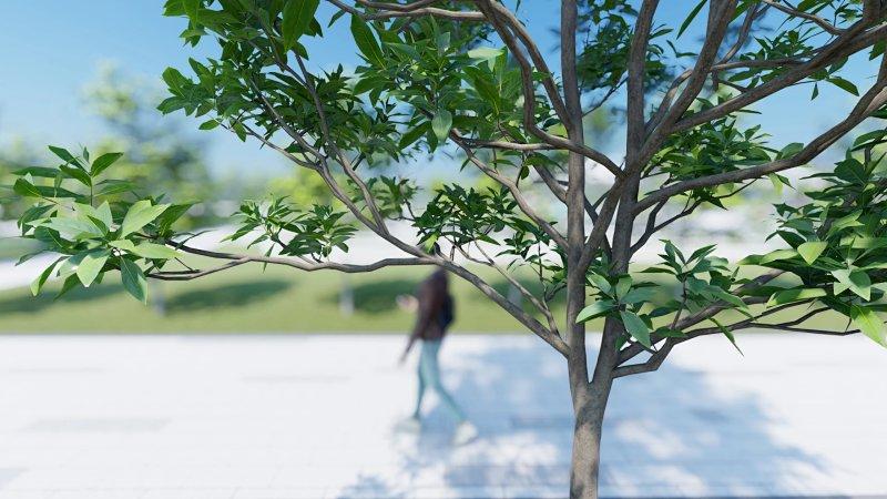 无法选择Lumion中的树木 - BIM,Reivt中文网