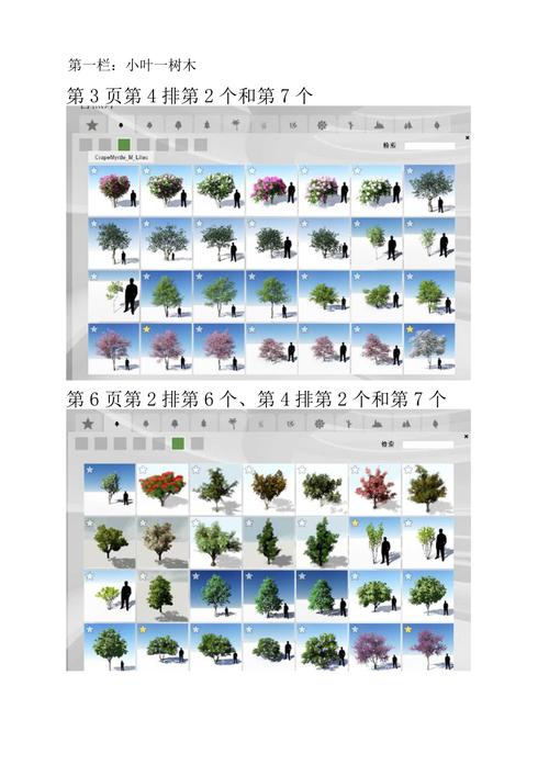 Lumion树种对照表 Lumion树种对照表 - BIM,Reivt中文网