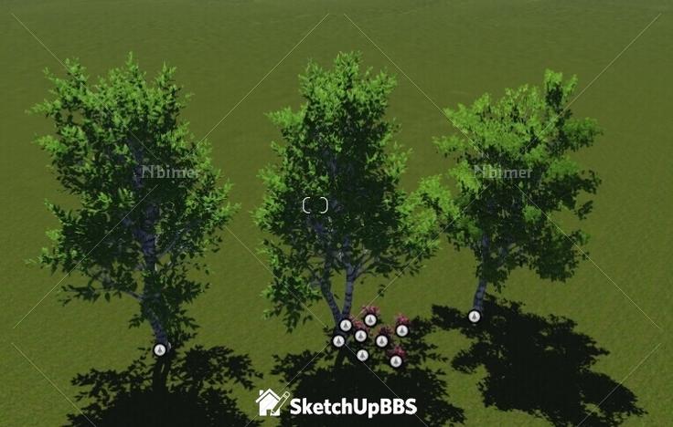 如何在Lumion中正确摆放树木 - BIM,Reivt中文网