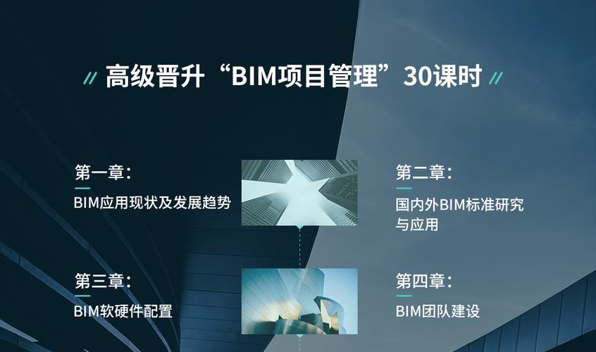 BIM项目管理专家 BIM项目管理专家 - BIM,Reivt中文网
