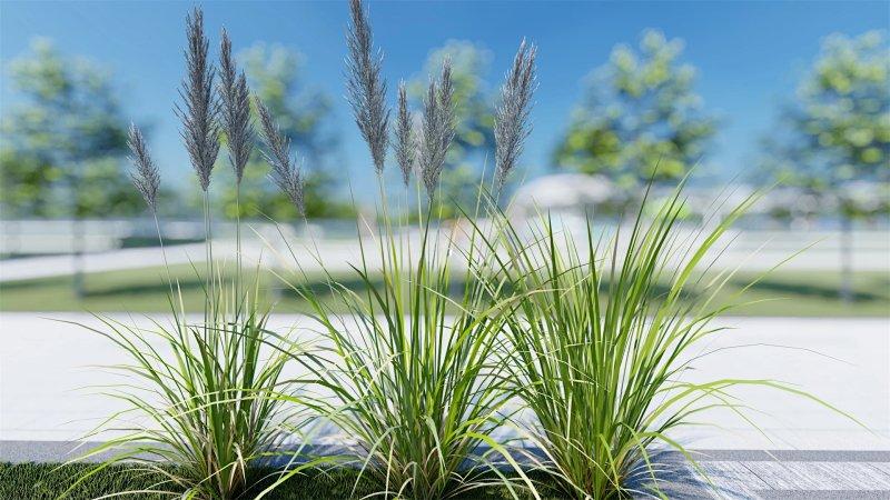 草,lumion中的一抹雪白 草,lumion中的一抹雪白 - BIM,Reivt中文网