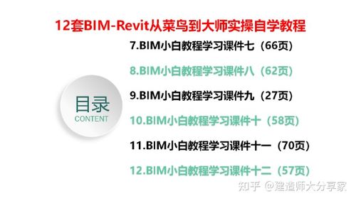 Revit教程:从零基础到高级技巧,全面学会Revit软件使用 Revit教程:从零基础到高级技巧,全面学会Revit软件使用 - BIM,Reivt中文网