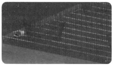 1586228960851853.png image.png