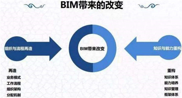 1597646829531380.jpg 23.jpg