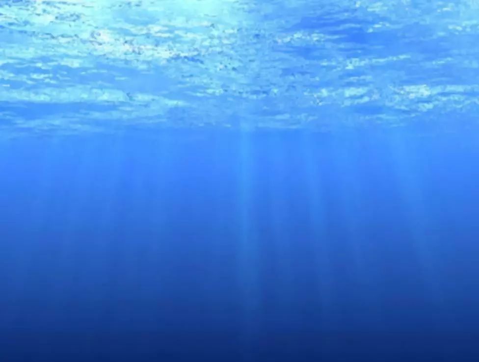 1631779775783185.jpg 8f8459c2c9cc17edcc616342e908e369.jpg