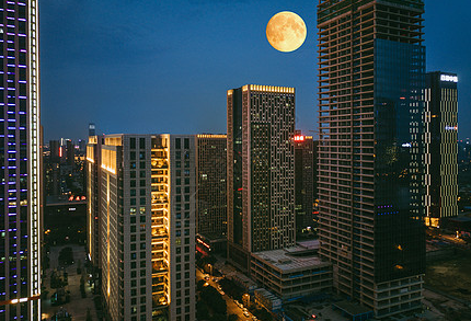 BIM施工模拟怎么做? 腿腿教学网-BIM施工模拟怎么做?