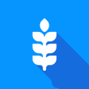 开元棋盘在线下载安卓版二维码