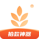 ror体育备用网站