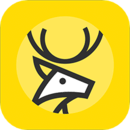 手机扫码安装高倍率平台99.9