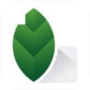 易游的游戏在哪查看截图