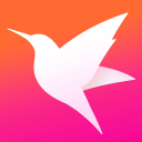 3377体育网页入口截图预览